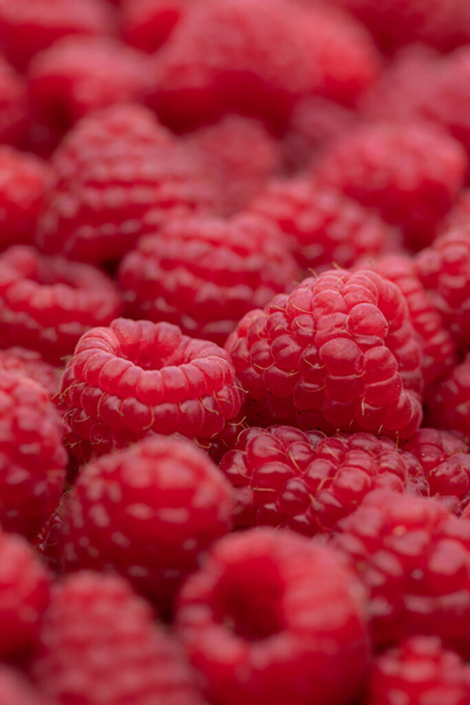 Raspberry fruit background stock photo